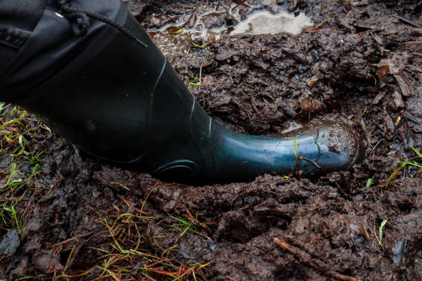 istock Green wellie in the mud 2183714291