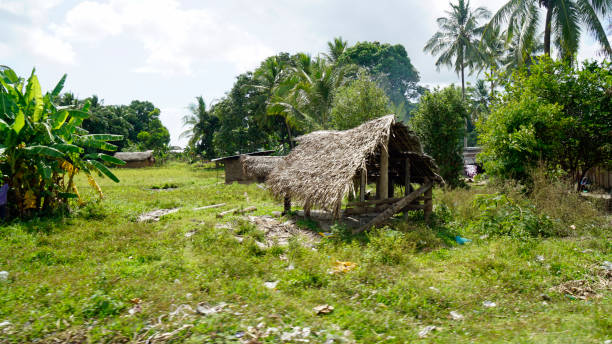 istock tanzania landscape 2183720676