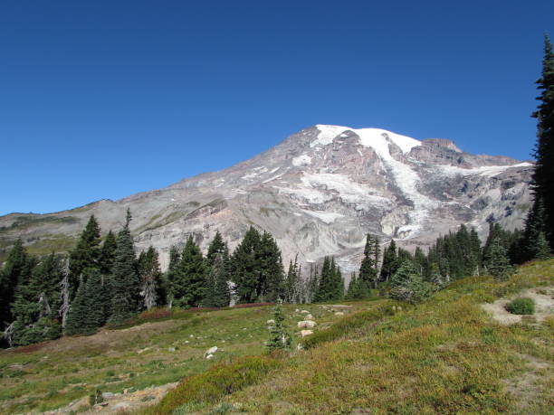 istock Mount Rainier- Tahoma with Subalpine Landscape 2183721442