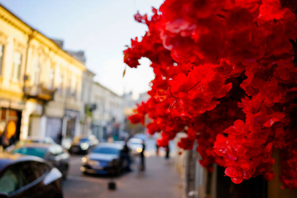 A close-up of vibrant red flowers with a blurred city street in the background.