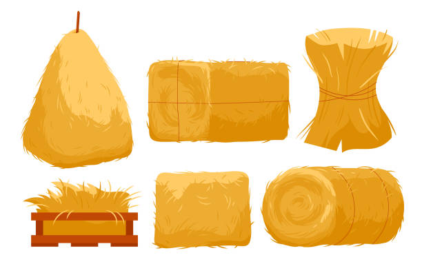 Bales of hay set, golden haystacks of different shape, yellow straw pile in bundle, crate Bales of hay set vector illustration. Cartoon isolated golden haystacks of different shapes, yellow straw pile in bundle and wood crate, round or square roll with rope, farm forage collection stacking food containers stock illustrations
