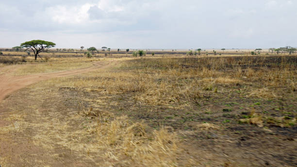 istock tanzania landscape 2183722563