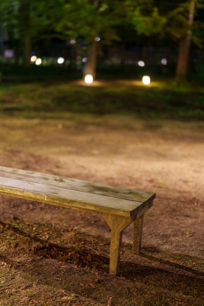 istock Benches placed in the forest at night. 2183723240