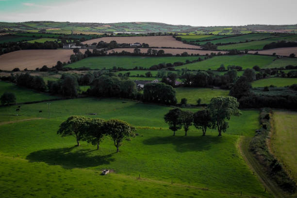 istock farm fields. Agricultural landscape in summer. Grass fields and trees. Green grass field with trees 2183724029