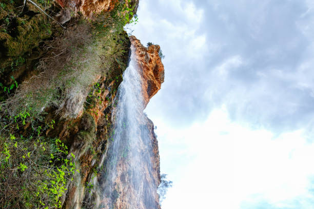 A stunning waterfall flows from high cliffs, surrounded by vibrant plants and trees, creating a serene natural setting.