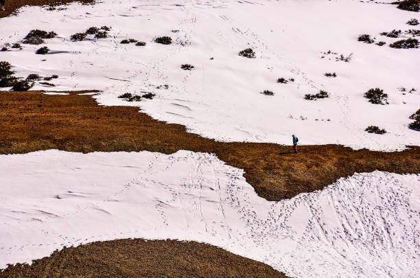 A snowy field with a person walking in the snow. The snow is white and the ground is brown