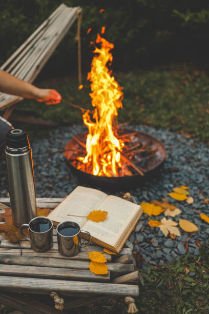 istock Book, thermos and fire, cozy autumn 2183730946