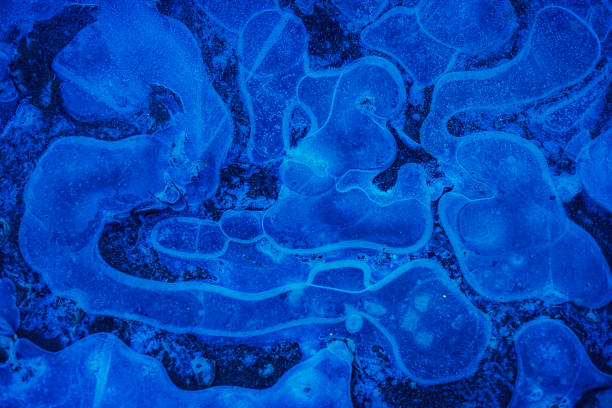 An intriguing abstract design on an icy surface in vivid blue shades, showcasing natural patterns. The composition evokes a sense of calm and artistic wonder, ideal for creative backgrounds.