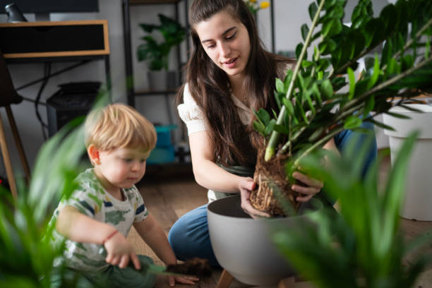 istock My charming helper with little green thumbs. 2183734797