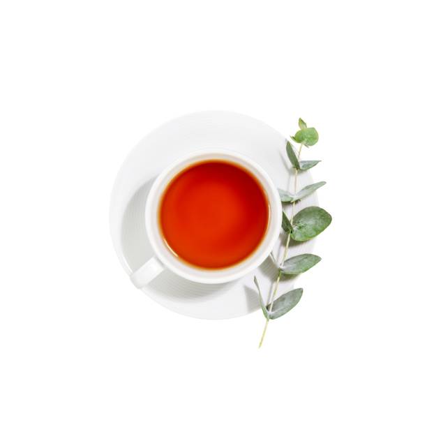 istock Isolated cup of tea with eucalyptus sprig 2183734936