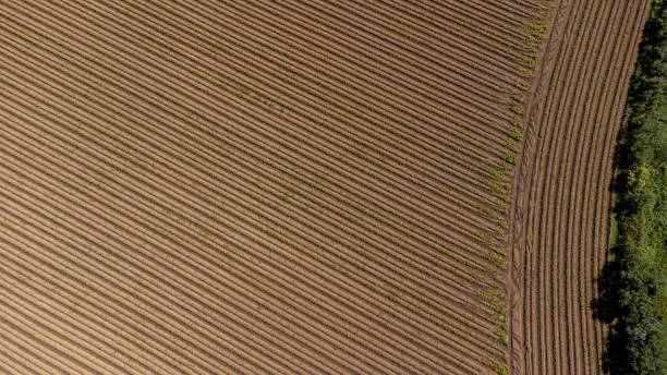 istock Drone shot of ploughed fields 2183736157
