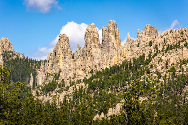 Cathedral Spires along the Needles highway in the Black Hills mountains within Custer State Park, South Dakota. The Needles are a region of eroded granite pillars, towers, and spires.