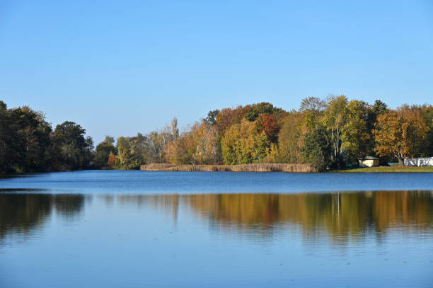 istock Autumn Landscape of German Forest 2183741559