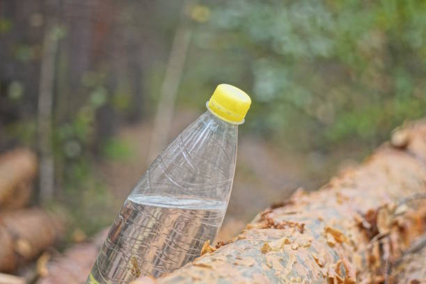 one plastic bottle with clear mineral water lies on brown pine logs on summer street in forest