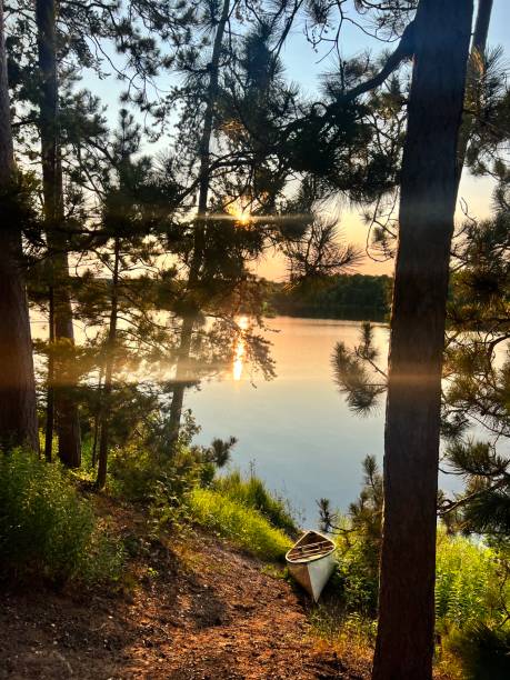 istock Golden hour at the lake 2183742286