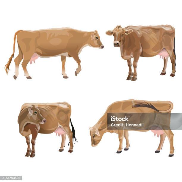 Cow Reverse Drawing Set Of Cows In Various Poses Stock Illustration - Download Image Now ...