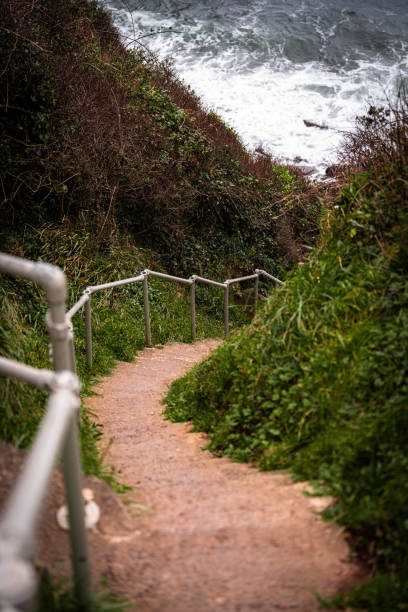 istock Winding path leading to a dramatic coastal vista overlooking the ocean 2183744302