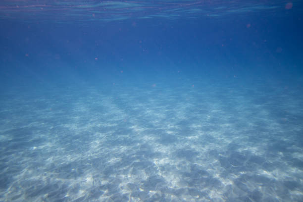 Under the sea view and the ocean floor