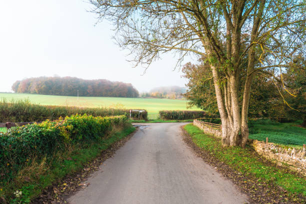 Pretty single lane near lower slaughter, England