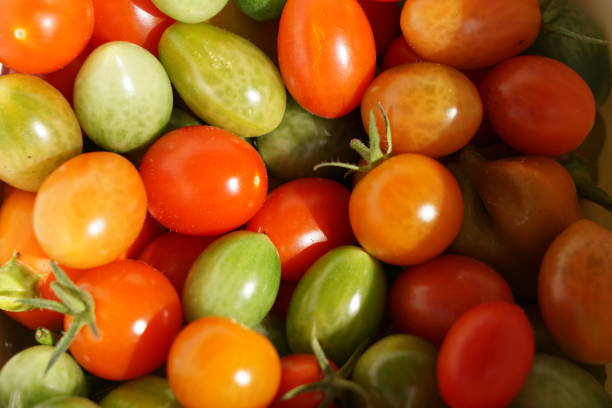 istock Colorful tomatoes on the whole screen. Tomato pattern. Sunlight falls on the tomatoes. Still life of tomatoes. Mini tomatoes of different colors. 2183762268