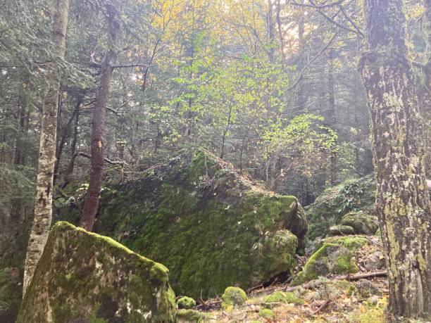 istock Autumn Pyrenees, Catalunya, Spain 2183763095