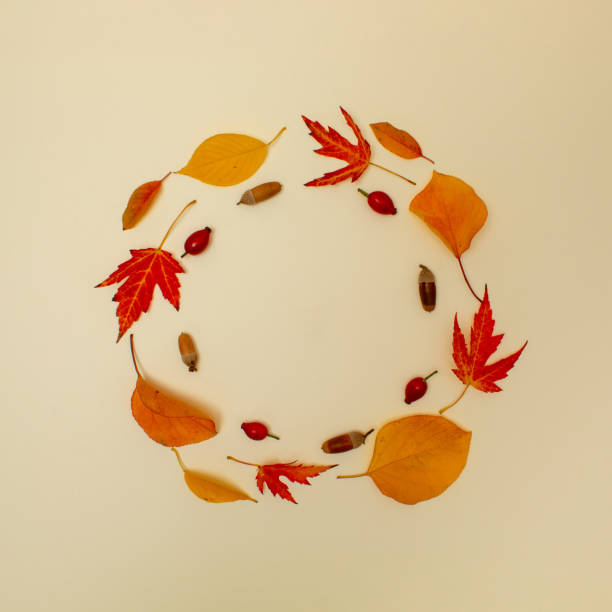 istock Creative autumn layout made with yellow fallen laeves and nuts. Minimal flat lay. Nature concept. 2183763755