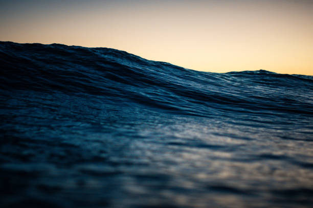 istock Dramatic Ocean Wave at Sunset in Waikiki 2183764571