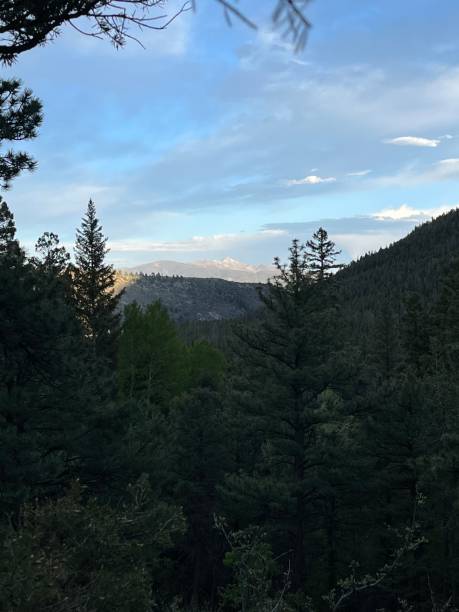 istock Mountain sunset through the pine trees while hiking in oregon 2183764680