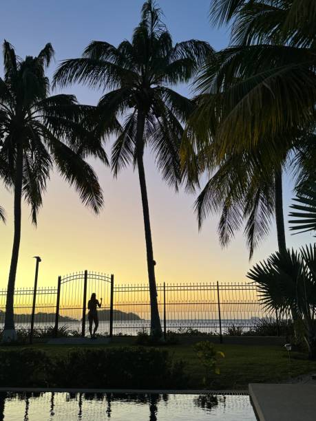 Sunset in Costa Rica Ocean Front Palm Trees