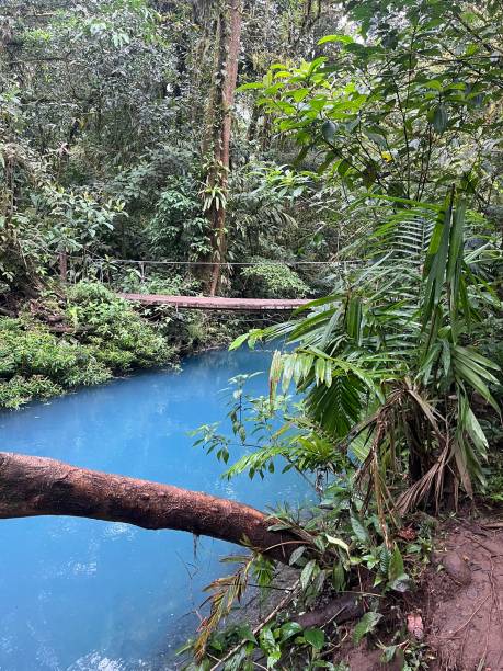 istock Bridge over Blue Water in Costa Rica 2183765571