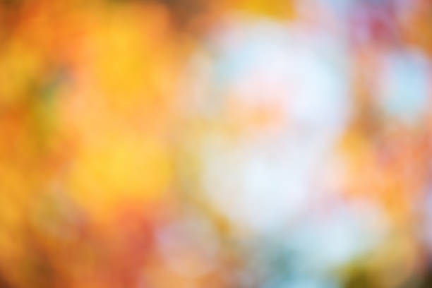 Autumn defocused background. Yellow blurred leaves and blue defocused sky