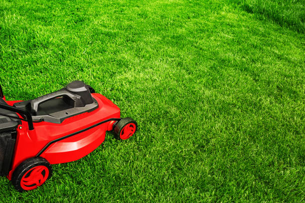 istock Red lawnmower on the lawn 2183768070