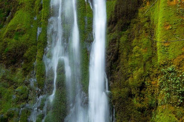 Marymere falls in Olympic National park