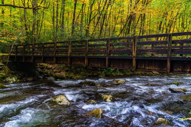 istock Wooden bridge over autumn stream in forest 2183769535