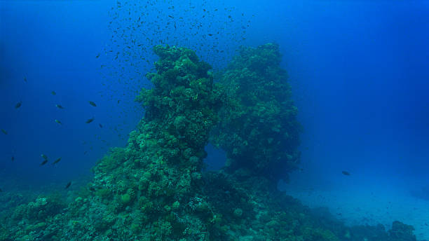 istock Coral Pillars in the deep blue sea 2183770445
