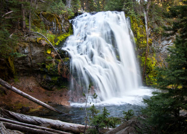 Tumalo Creek Falls. Summer. Slow motion