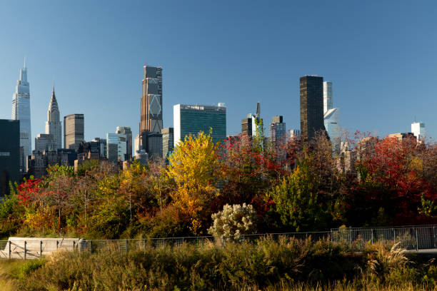 istock Autumn Foliage Skyline 2183789958