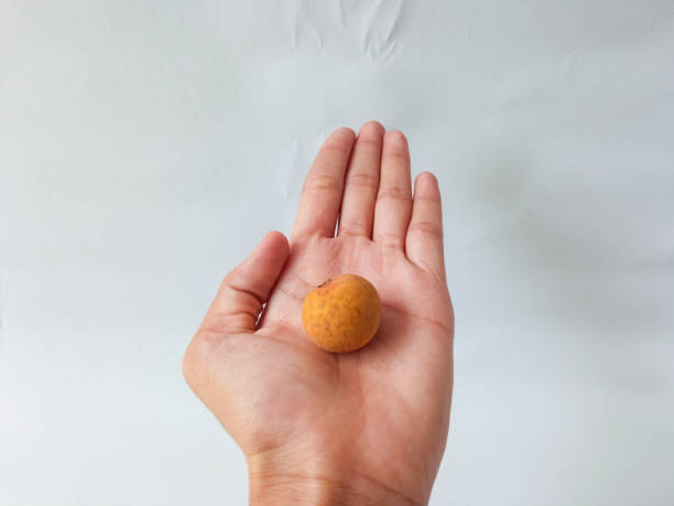 istock longan fruit held by asian woman hand isolate on white background 2183792279