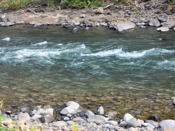 Creek near Naches, WA