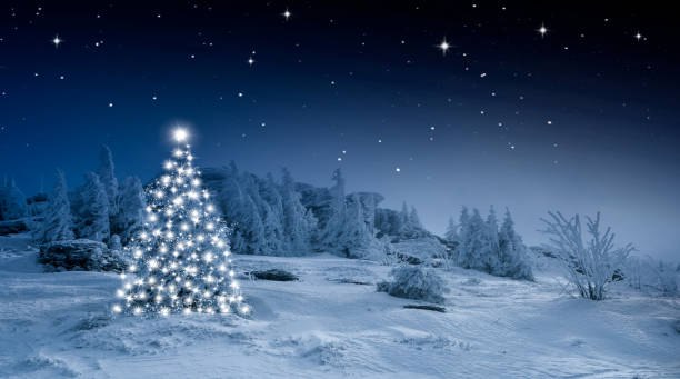 istock Glowing Christmas tree in the snow at night 2183809085