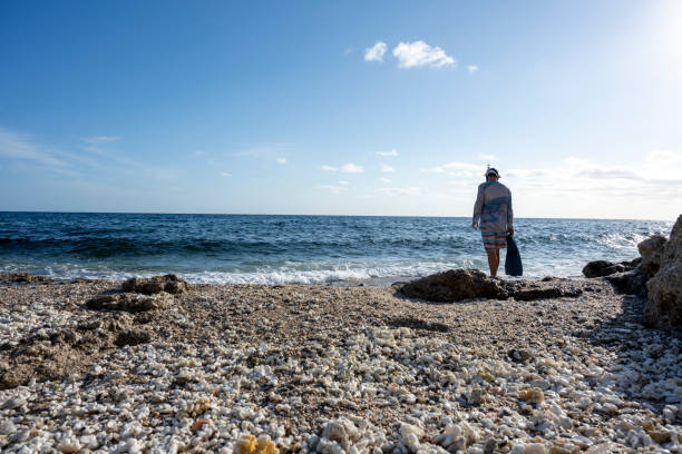 Man with snorkelling gear explores rugged coastline, Baja