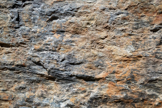 istock Texture of a shale stone 2183814923