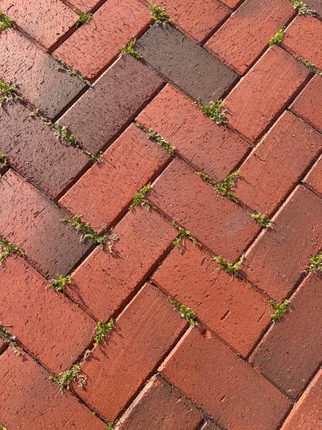 istock Young new green grass growing through the red brick hard floor 2183816530