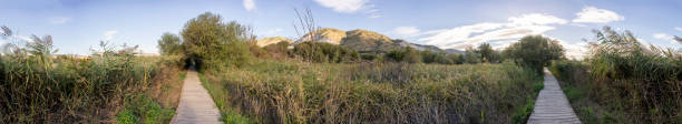 istock A Serene Nature Pathway Winding Through Lush Greenery Surrounded by Majestic Mountains 2183818387