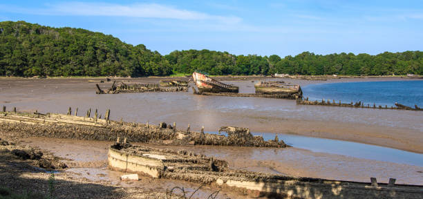 A scenic view of a muddy shoreline with several shipwrecks partially submerged in the water. Lush green trees line the background. Lanester-Kerhervy, Brittany