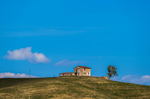 val d'agri campaign, Aliano, Matera province, Italy - 03/21/ 2024: an old house with a tree inside the countryside in a sunny spring day