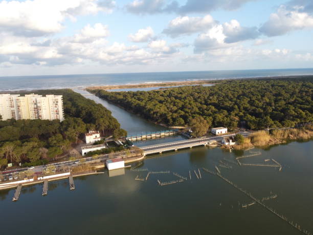 istock The Albufera Valencia 2183825238