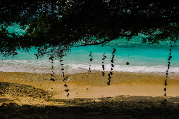 Experience the beauty of the Gili Islands with clear blue waters, coral gardens, and laid-back vibes. Snorkel, dive, or simply relax by the beach. With no cars, the islands offer a peaceful retreat. Gili Trawangan is lively, Gili Meno is quiet, and Gili Air has the best of both. It’s the ultimate destination for a tranquil yet exciting tropical holiday.