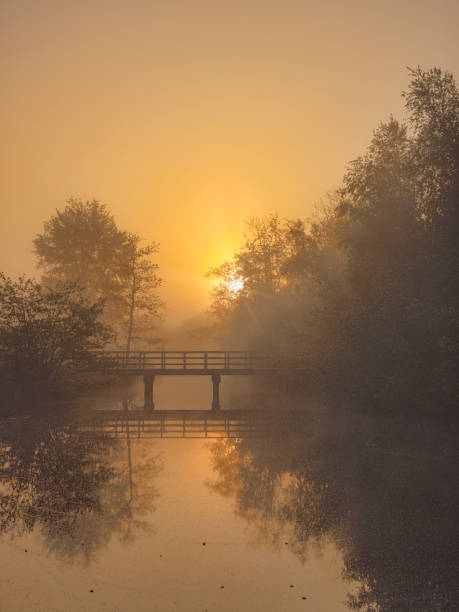 early sunrise with reflection of trees and bridge in the water