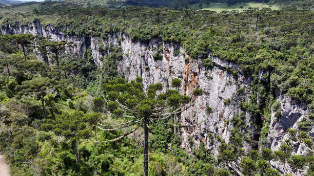 Itaimbezinho Canyon At Cambara Do Sul In Rio Grande Do Sul Brazil. Itaimbezinho Canyon At Cambara Do Sul In Rio Grande Do Sul Brazil. Beauty Cliffs Scenery. Top Of Mountains Scene. Canyons Background. Itaimbezinho Canyon At Cambara Do Sul In Rio Grande Do Sul Brazil. canyon itaimbezinho rio grande do sul santa catarina southern brazil stock pictures, royalty-free photos & images